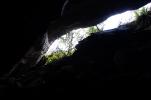 DSC00487